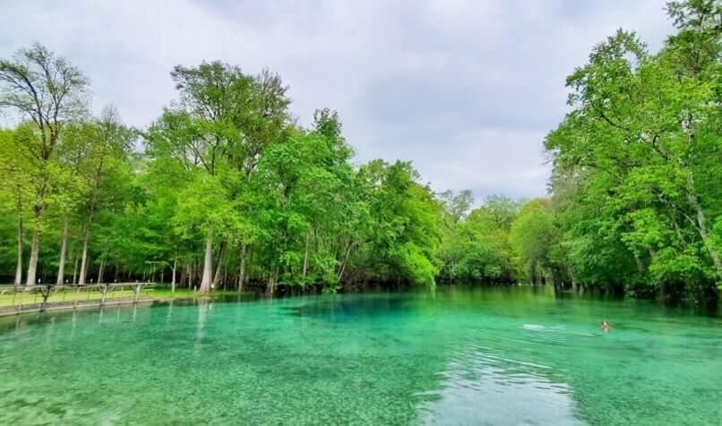 atlanta to disney world drive: gilchrist blue springs state park. georgia to disney world road trip stops. florida travel blog