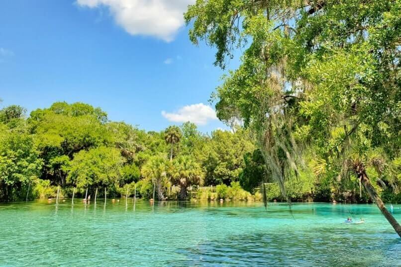 atlanta to disney world drive: ocala national forest springs. georgia to disney world road trip stops. florida travel blog
