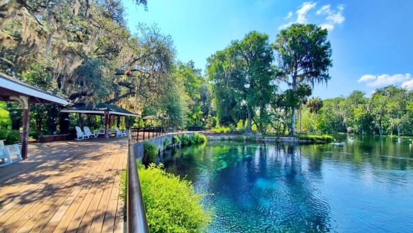 atlanta to disney world drive: silver springs state park. georgia to disney world road trip stops. florida travel blog