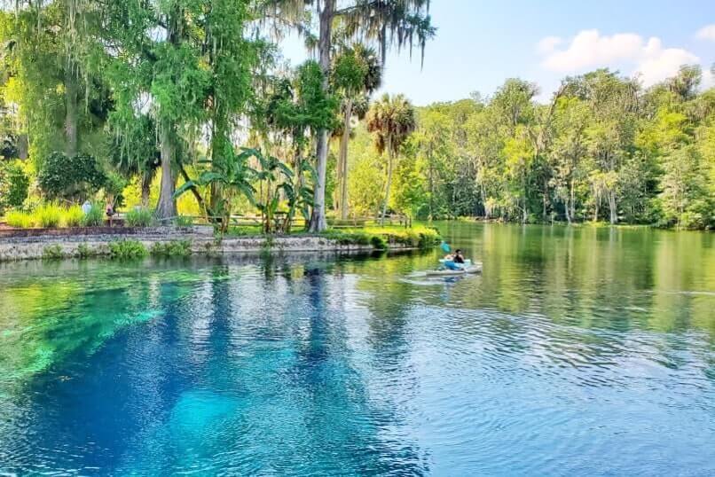 atlanta to disney world drive: silver springs state park. georgia to disney world road trip stops. florida travel blog