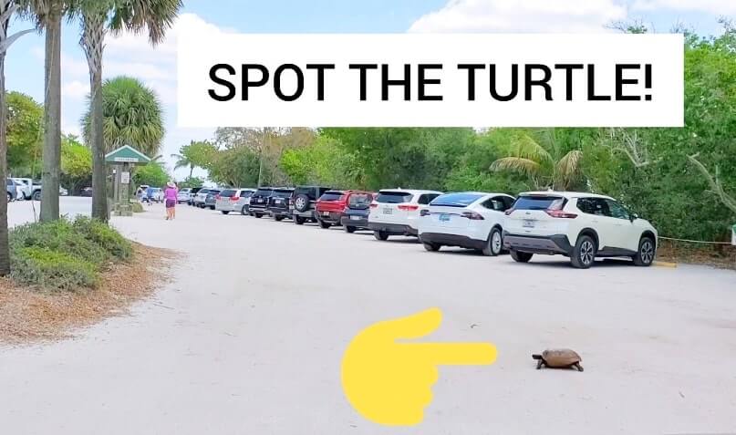 sanibel island beach parking lot. best time for sanibel island beach parking. florida travel blog