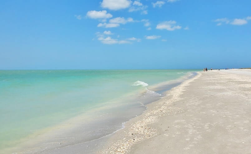 Tarpon Bay Beach shells. gulf coast, southwest florida travel blog