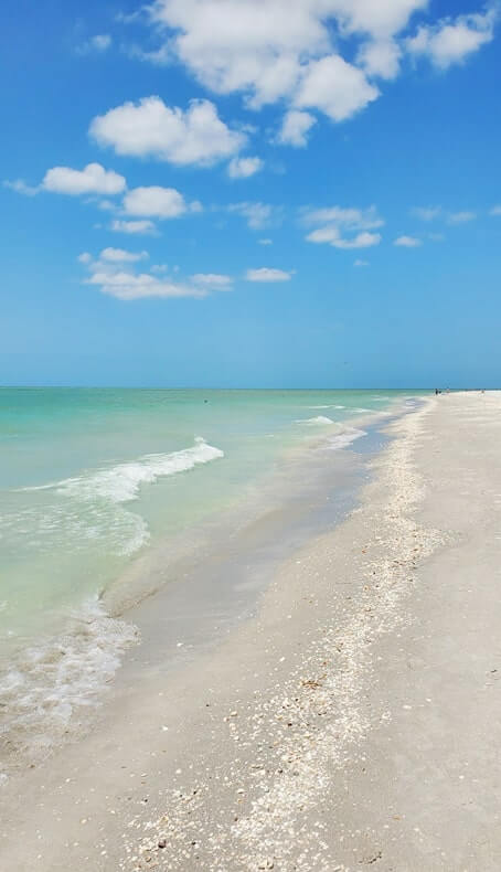 Tarpon Bay Beach shells. gulf coast, southwest florida travel blog