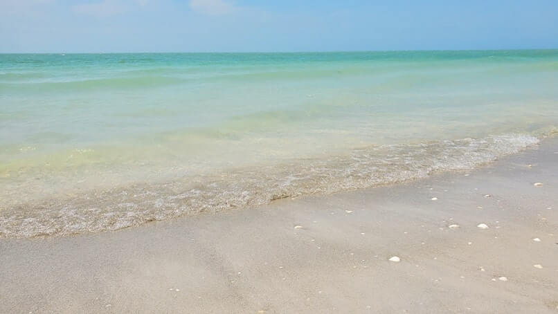 Tarpon Bay Beach shelling. gulf coast, southwest florida travel blog