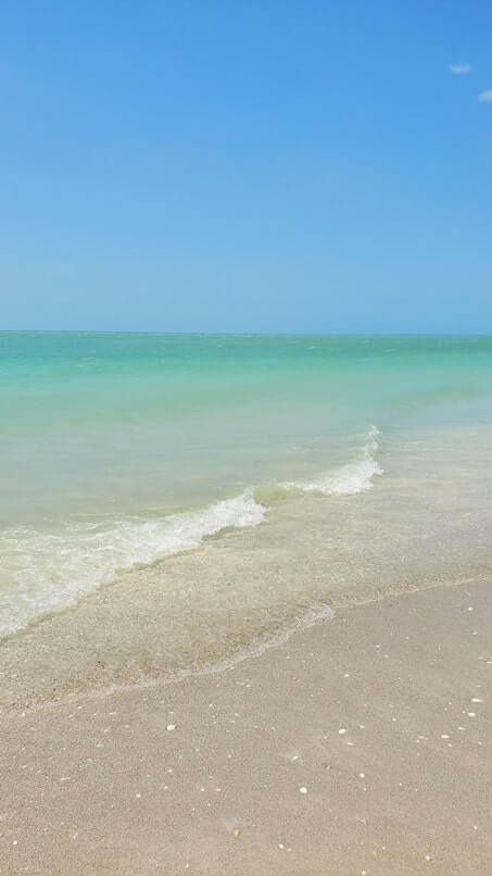 Tarpon Bay Beach shelling. gulf coast, southwest florida travel blog