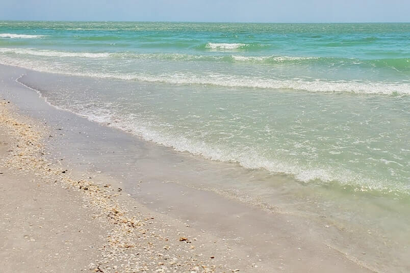 Tarpon Bay Beach shelling. gulf coast, southwest florida travel blog