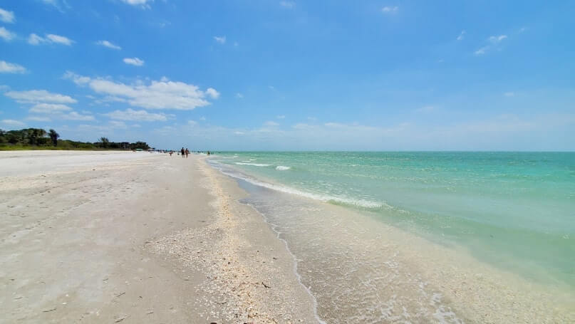 Tarpon Bay Beach shelling. gulf coast, southwest florida travel blog