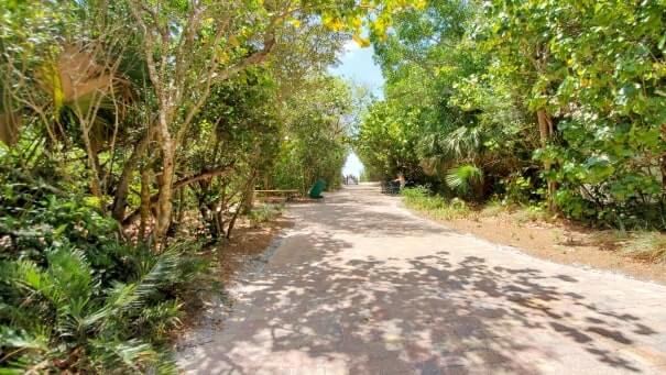 how to get to tarpon bay beach for sanibel island shelling beach. southwest florida travel blog
