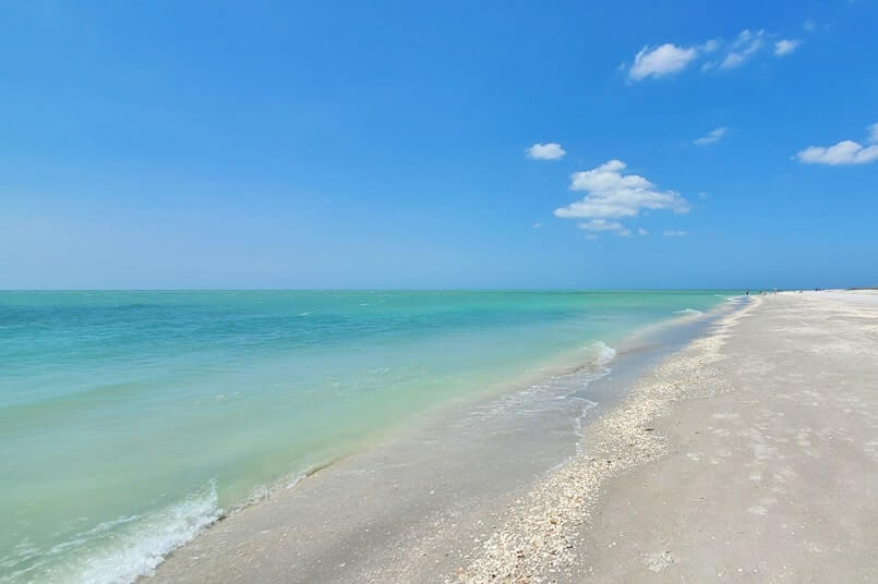 Tarpon Bay Beach shelling. best sanibel island shelling. best sanibel island beaches for shelling. tarpon bay beach seashells. gulf coast, southwest florida travel blog