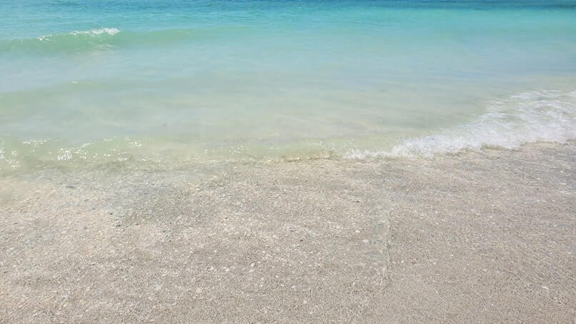 tarpon bay beach shells. snorkeling sanibel island shells. gulf coast, southwest florida travel blog