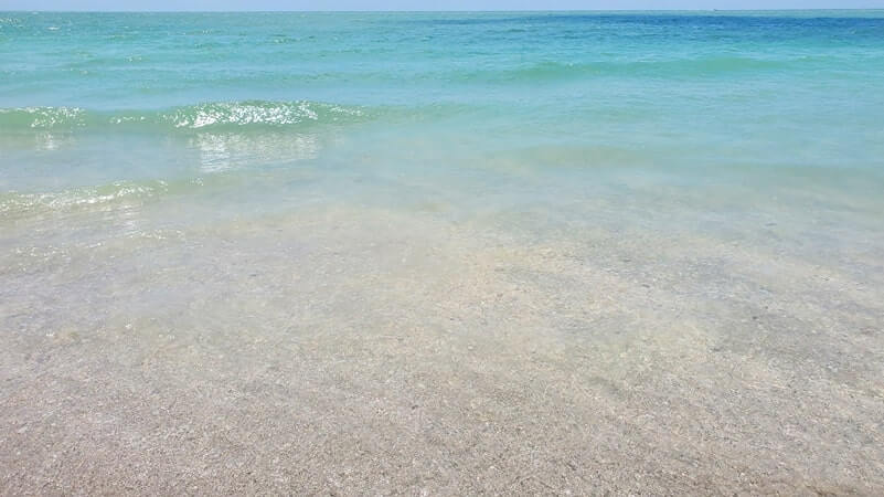 tarpon bay beach shells. snorkeling sanibel island shells. gulf coast, southwest florida travel blog