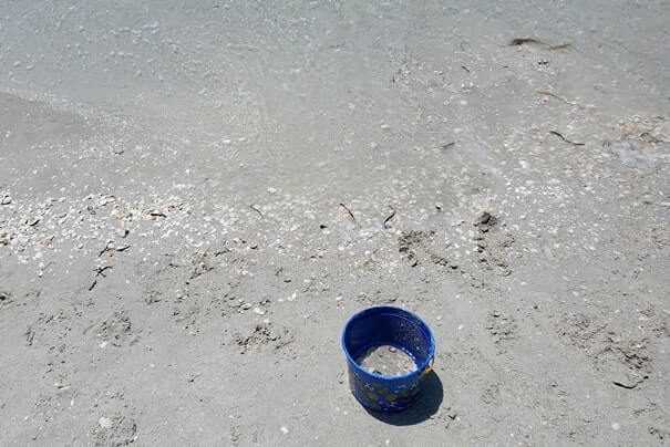Tarpon Bay Beach shells. gulf coast, southwest florida travel blog