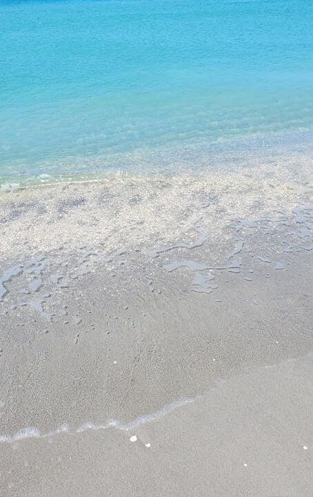 Turner Beach shells, captiva island shells. florida travel blog