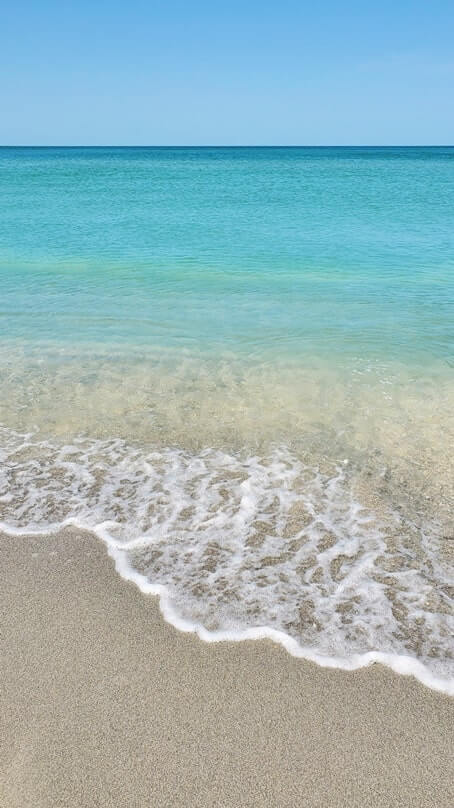 Turner Beach shells, captiva island shells. florida travel blog