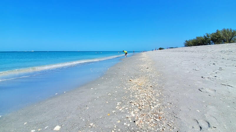 Turner Beach shells, captiva island shells. florida travel blog