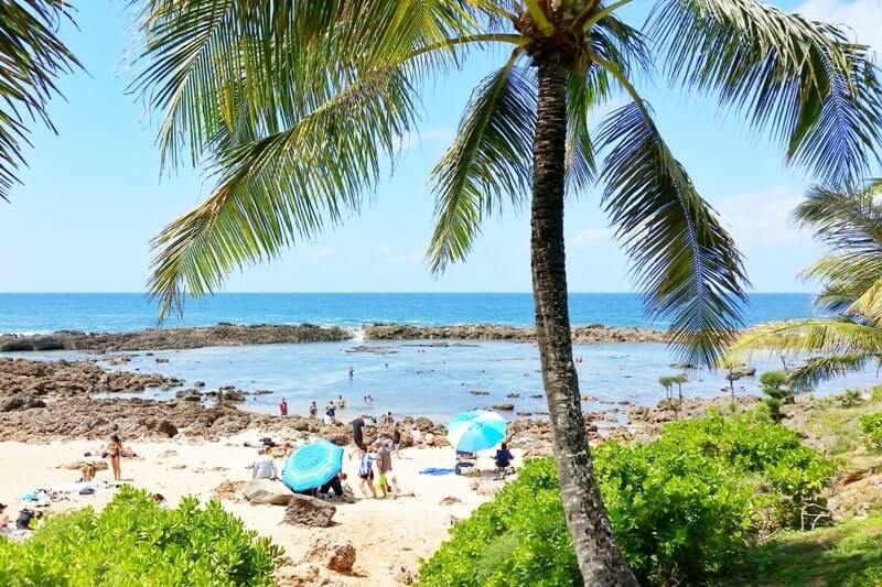 free things to do in oahu: oahu snorkeling, sharks cove, north shore. free things to do in honolulu, waikiki day trip. oahu hawaii travel blog