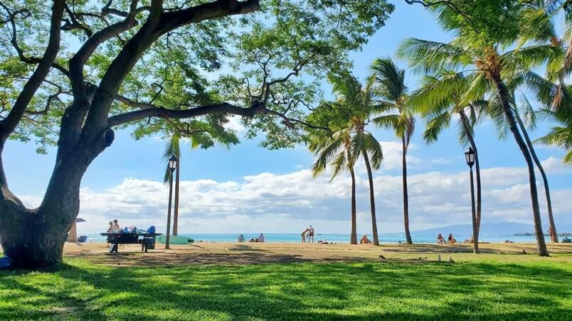 Things to do in Waikiki for free: waikiki park, kapiolani park. honolulu, oahu, hawaii travel blog