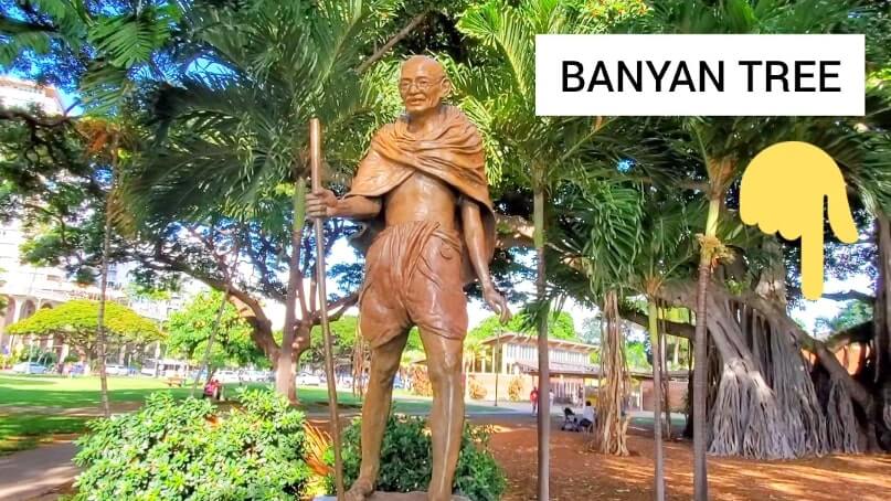 gandhi statue near honolulu banyan tree, hawaii. waikiki, oahu. hawaii travel blog