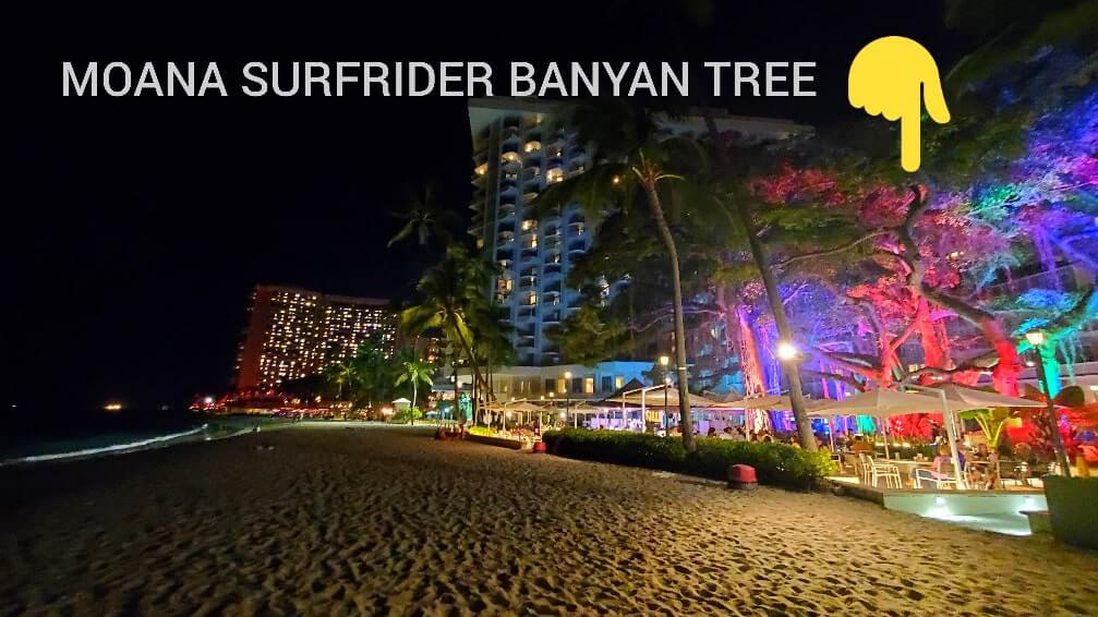 things to do in waikiki at night: moana surfrider banyan tree at night. waikiki banyan tree at night. honolulu at night. oahu at night. hawaii travel blog
