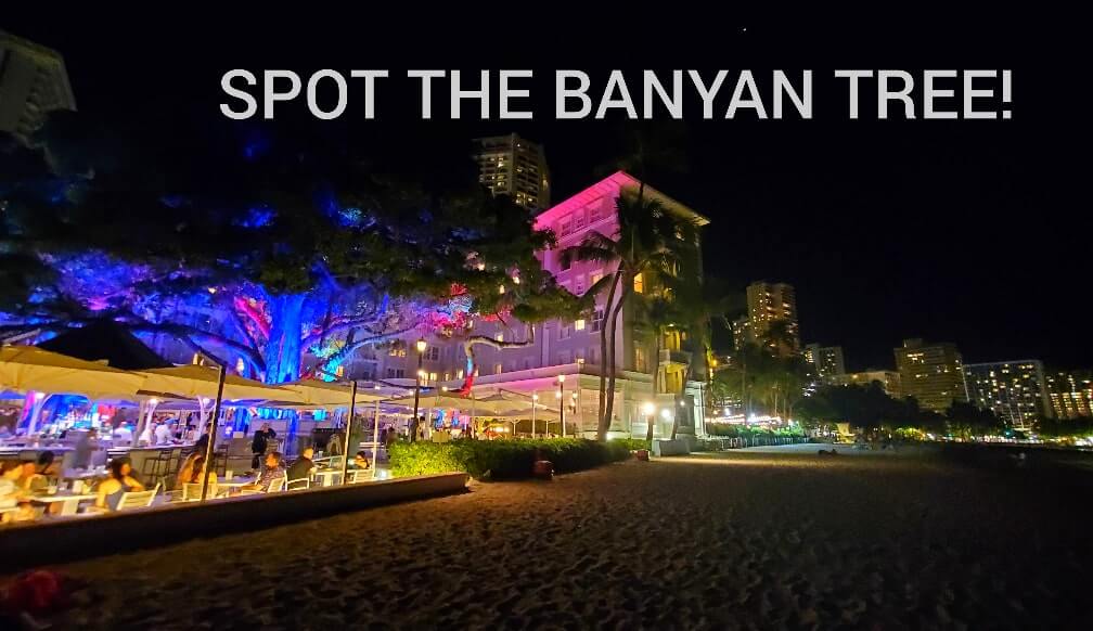 things to do in waikiki at night: moana surfrider banyan tree at night. waikiki banyan tree at night. honolulu at night. oahu at night. hawaii travel blog