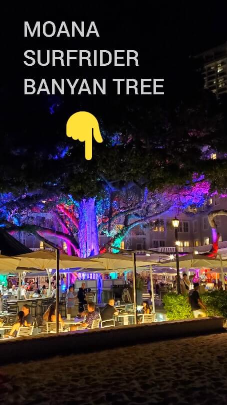 things to do in waikiki at night: moana surfrider banyan tree at night. waikiki banyan tree at night. honolulu at night. oahu at night. hawaii travel blog
