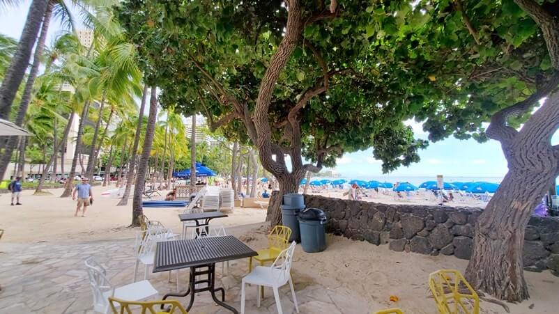 waikiki beachside bistro at kuhio beach, waikiki beach.