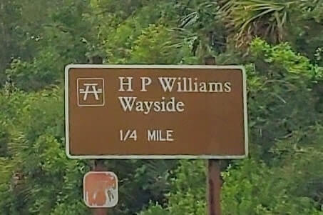 Things to do in Big Cypress National Preserve: HP Williams Wayside park to see alligators in the Everglades of Florida