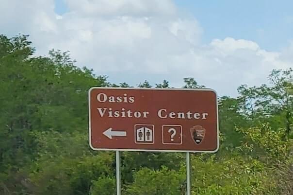 Things to do in Big Cypress National Preserve: Oasis Visitor Center to see alligators in the Everglades of Florida