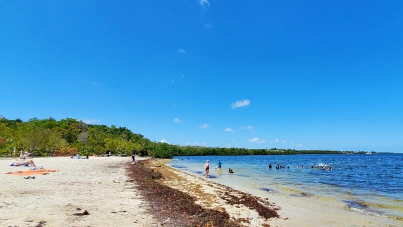 cannon beach key largo. main beach at john pennekamp state park