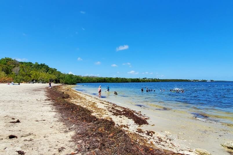 Cannon Beach for Key Largo shipwreck snorkeling?! 🐠 + swimming 🐠 John