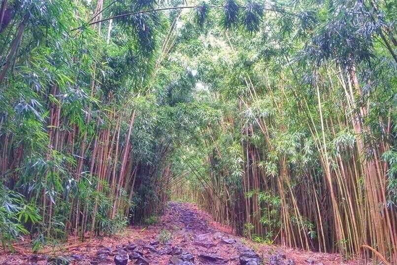 things to do in east maui: haleakala national park, kipahulu district