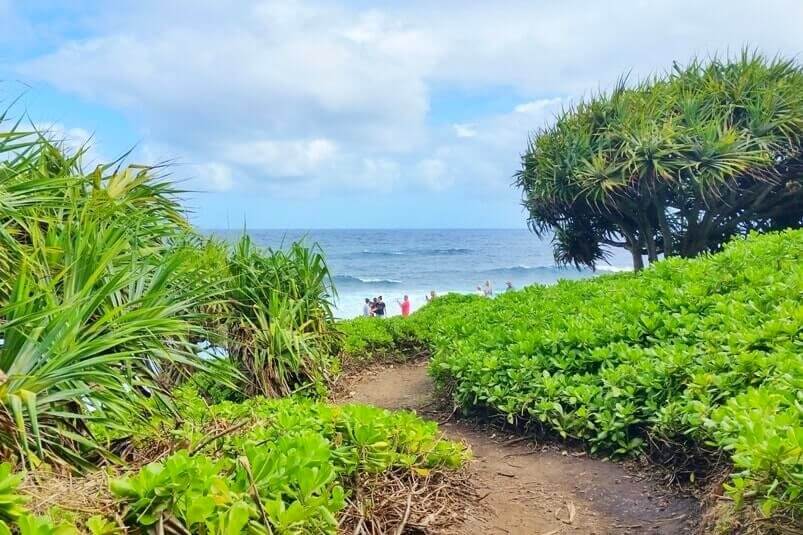 things to do in east maui: haleakala national park, kipahulu district