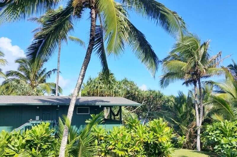 things to do in east maui: waianapanapa state park