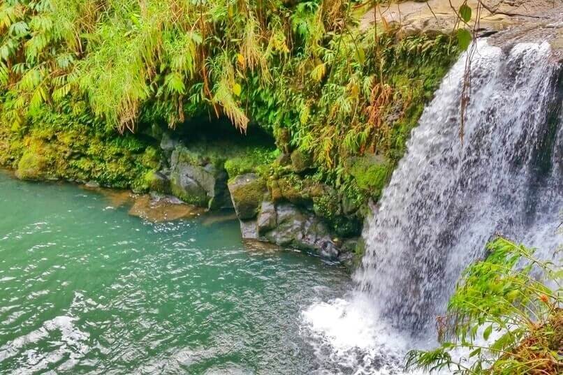 Things to do in East Maui: waikamoi falls