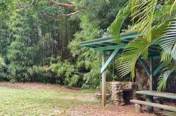 Things to do in East Maui: waikamoi nature trail