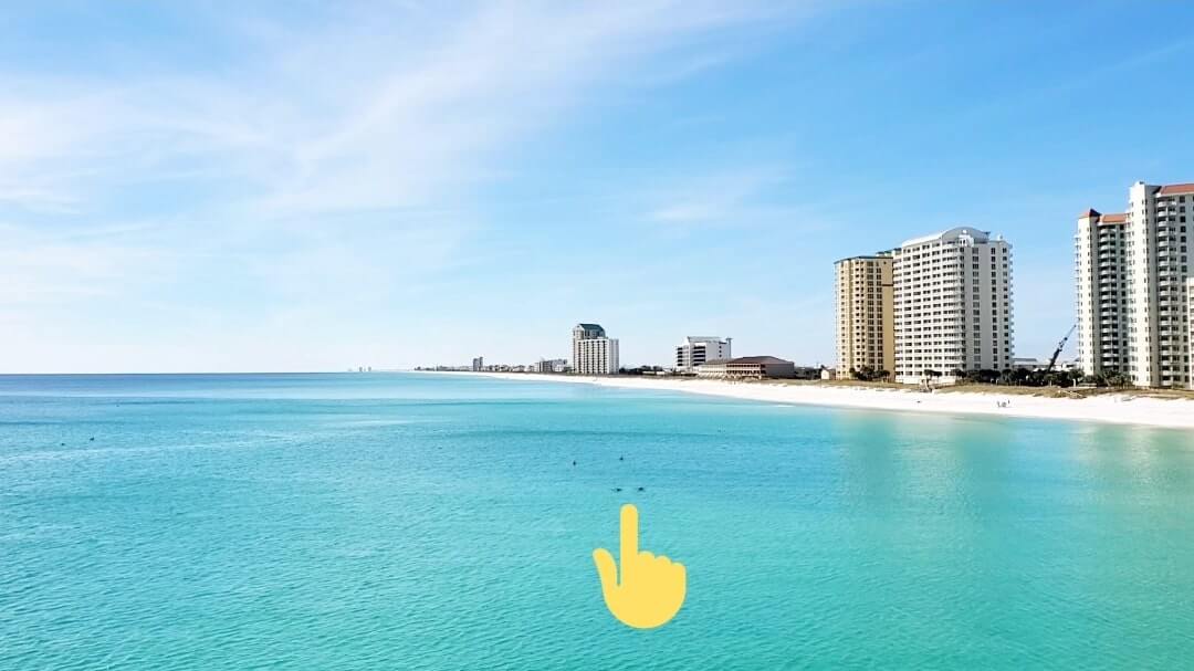 Navarre Beach dolphins. Florida Panhandle dolphins. florida dolphins gulf coast