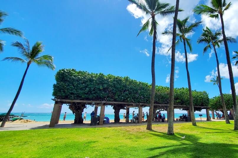tropical tribe waikiki near fort derussy beach park