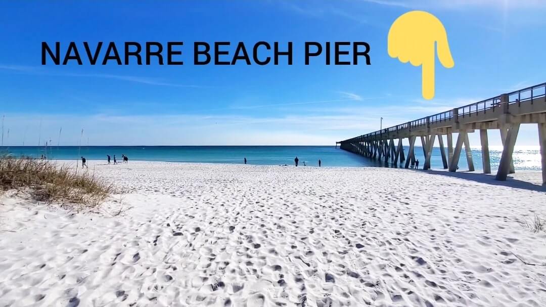 where to see Navarre Beach dolphins. where to see dolphins in the Florida Panhandle. florida dolphins gulf coast