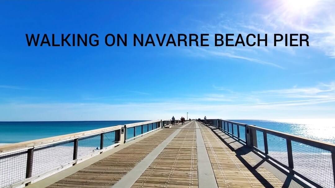 where to see Navarre Beach dolphins. where to see dolphins in the Florida Panhandle. florida dolphins gulf coast