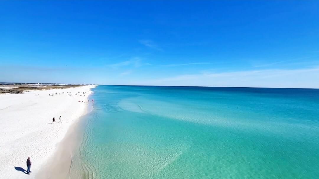where to see Navarre Beach dolphins. where to see dolphins in the Florida Panhandle. florida dolphins gulf coast