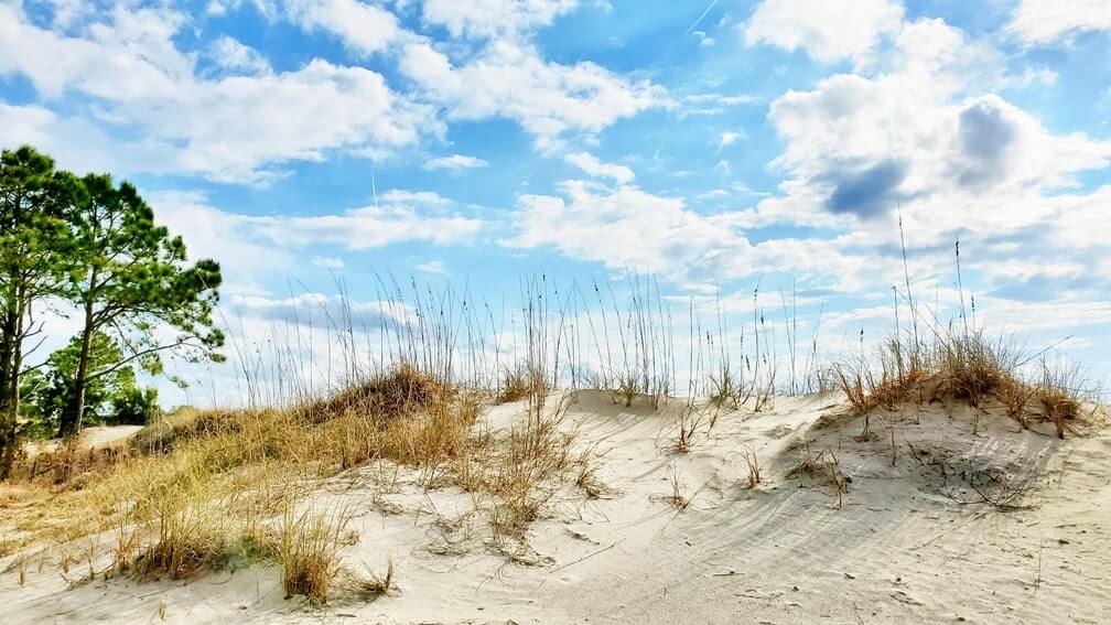 amelia island state park beach dunes