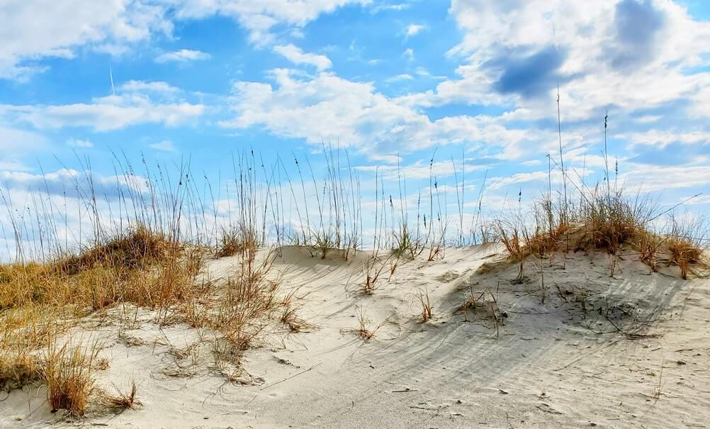 amelia island state park beach dunes
