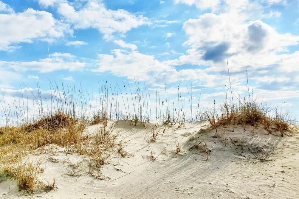amelia island state park beach dunes. amelia island dunes