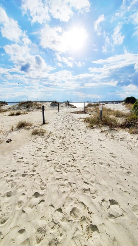 amelia island state park beach public access