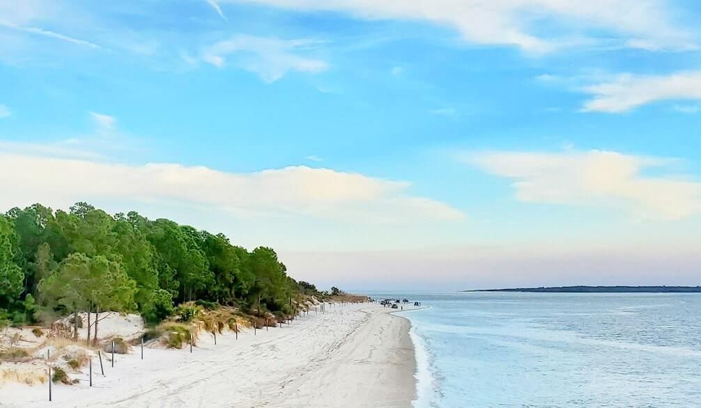 amelia island state park beach. amelia island beach
