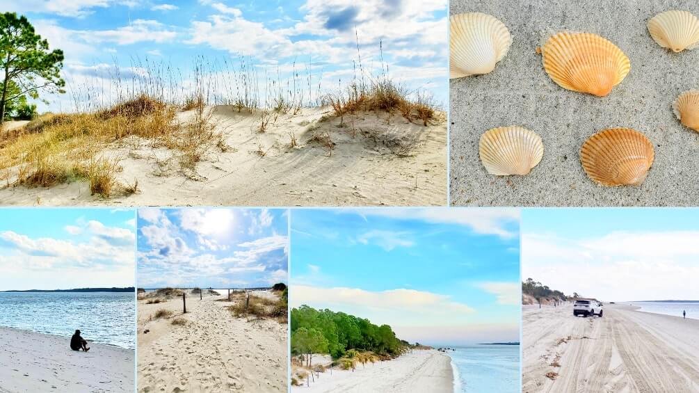 amelia island state park beach. best florida state parks with beaches. northeast florida state park. best state parks near jacksonville