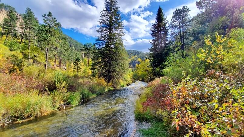 Long Valley picnic area in spearfish canyon. black hills national forest picnic area. spearfish canyon picnic area. south dakota travel blog
