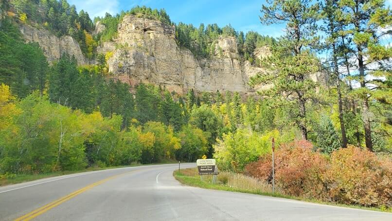 driving the spearfish canyon scenic by way to Long Valley picnic area in spearfish canyon. black hills national forest. south dakota travel blog