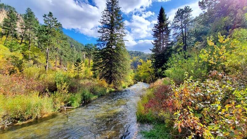 spearfish creek trail. Long Valley picnic area. spearfish canyon picnic area. black hills picnic area