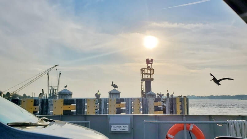 waiting for mayport ferry departure. mayport ferry pelicans